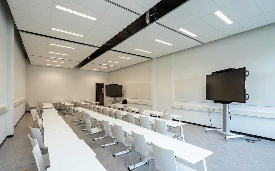 Customized LED Lighting Solutions for Businesses