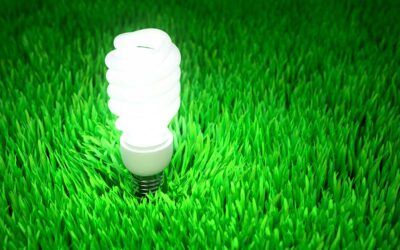 The Environmental Impact of LED Lighting